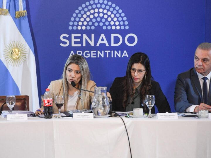 Senado: Nadia Márquez cruzó a la oposición por los reclamos en Salud Mental y defendió la gestión de Milei