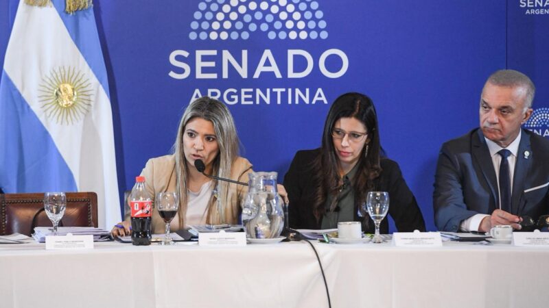 Senado: Nadia Márquez cruzó a la oposición por los reclamos en Salud Mental y defendió la gestión de Milei