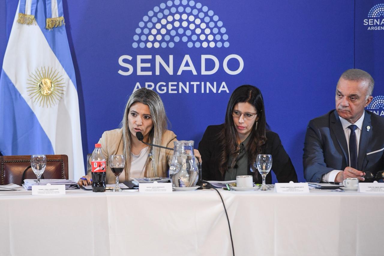 Senado: Nadia Márquez cruzó a la oposición por los reclamos en Salud Mental y defendió la gestión de Milei