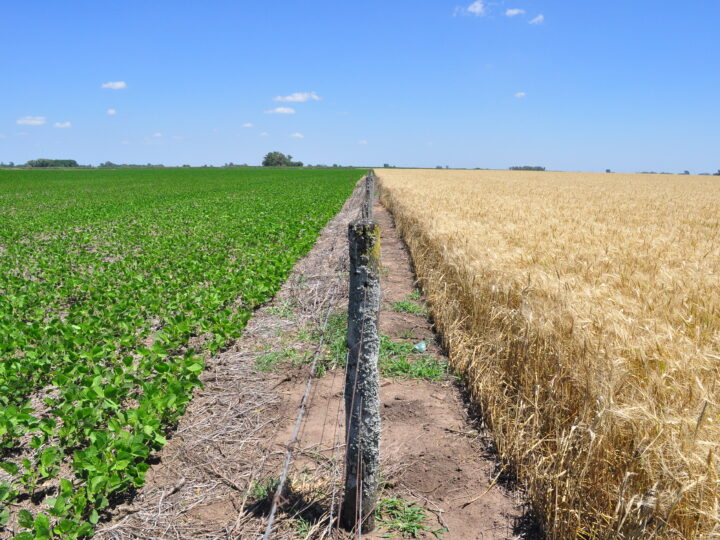 Liderazgo verde: Argentina impulsa en Bruselas el acceso de sus bioinsumos al mercado europeo