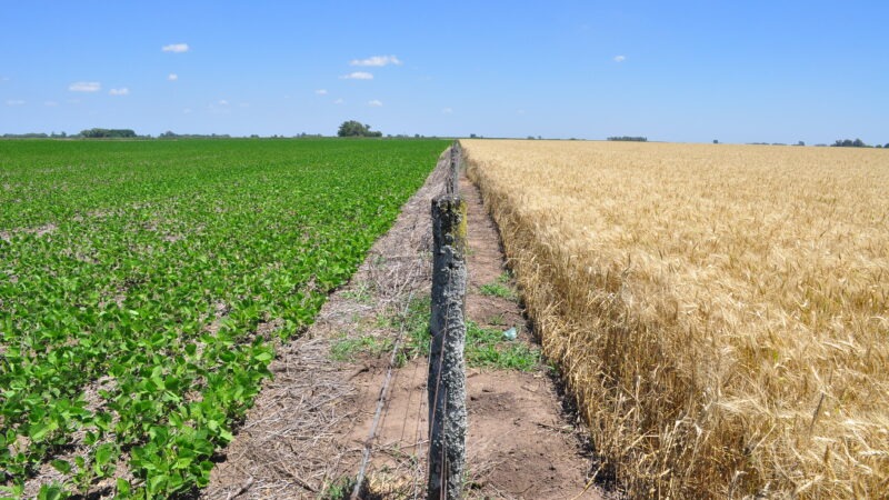 Liderazgo verde: Argentina impulsa en Bruselas el acceso de sus bioinsumos al mercado europeo
