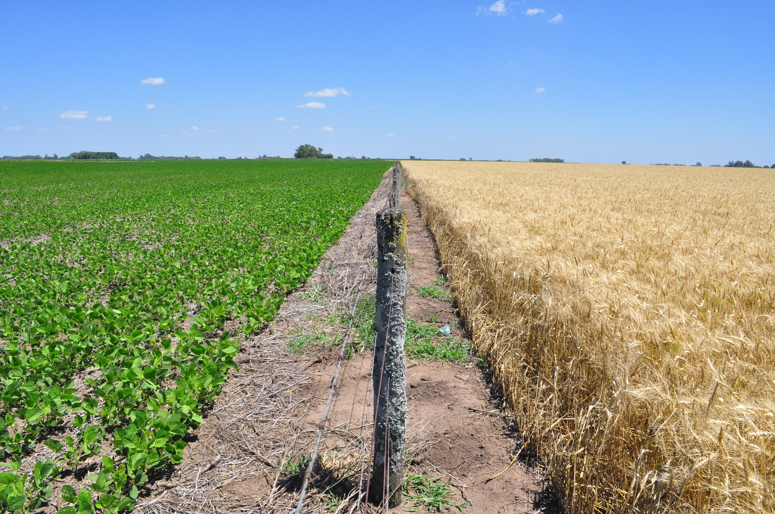 Liderazgo verde: Argentina impulsa en Bruselas el acceso de sus bioinsumos al mercado europeo