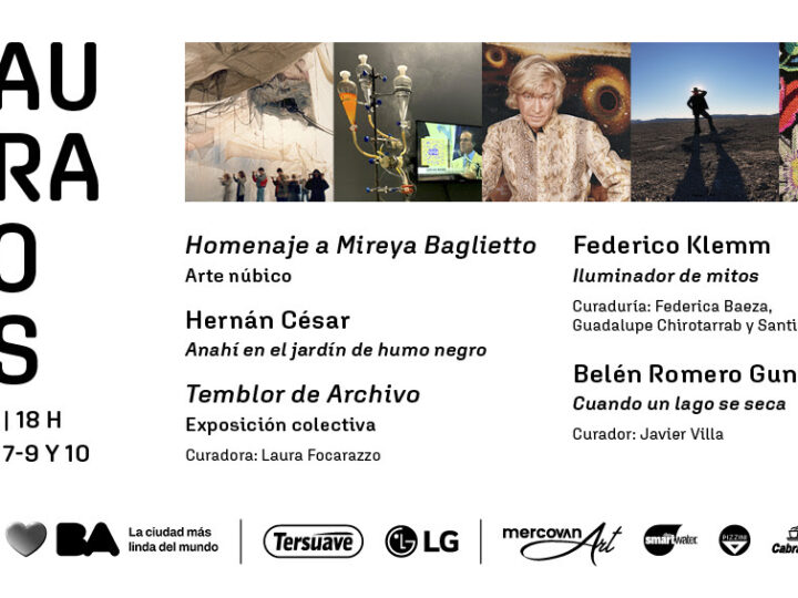 Explosión de arte en El Recoleta: de la vanguardia de Klemm al universo de Mireya Baglietto