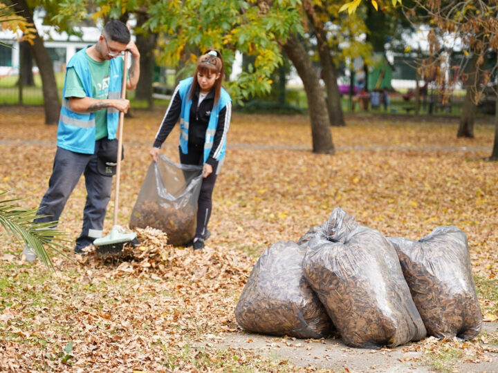 La Plata sustentable: el Municipio recolecta hojas otoñales para transformarlas en compost