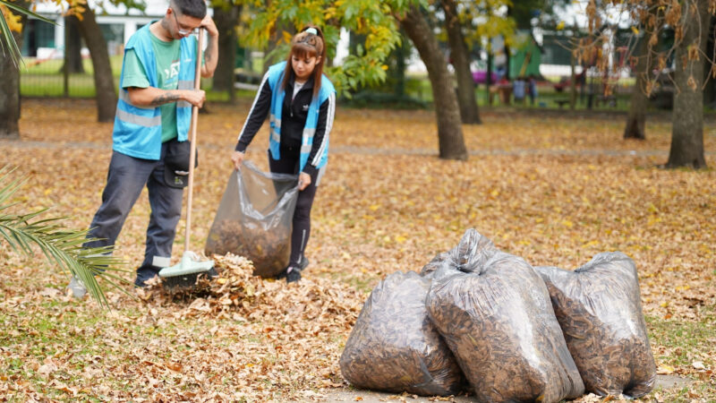 La Plata sustentable: el Municipio recolecta hojas otoñales para transformarlas en compost