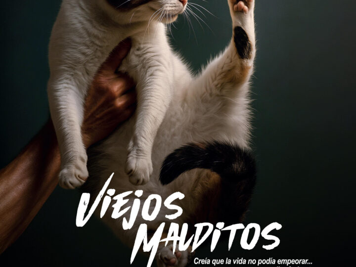 El absurdo como trinchera contra el olvido: el gato, la muerte y el laboratorio de la decadencia