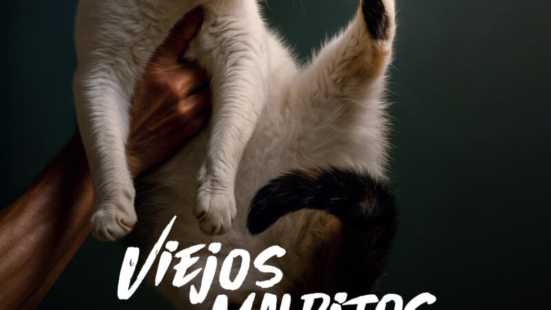 El absurdo como trinchera contra el olvido: el gato, la muerte y el laboratorio de la decadencia