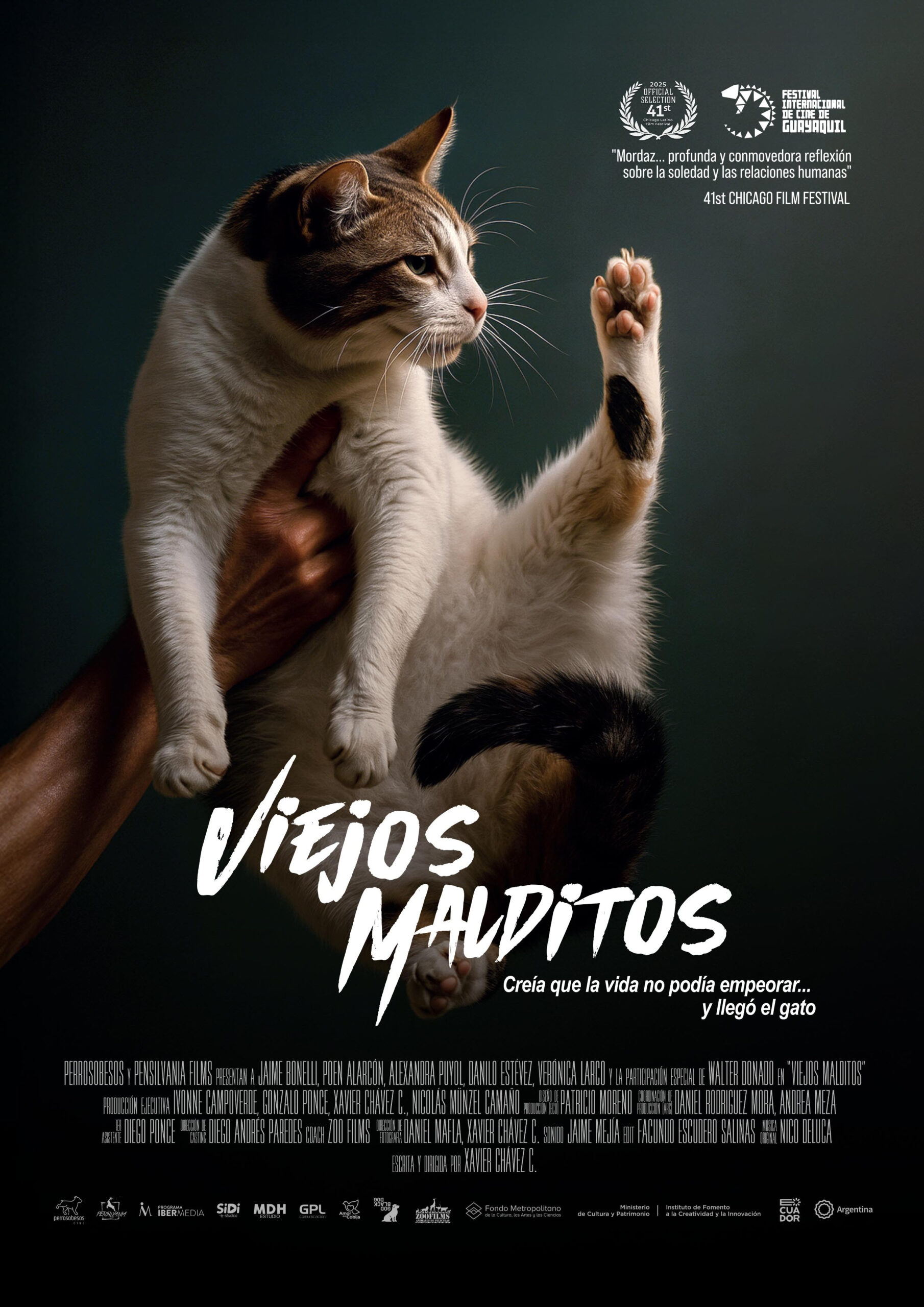 El absurdo como trinchera contra el olvido: el gato, la muerte y el laboratorio de la decadencia