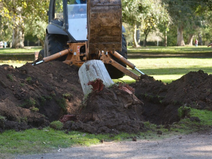 La Plata: El Municipio avanza con una histórica puesta en valor y saneamiento del Paseo del Bosque