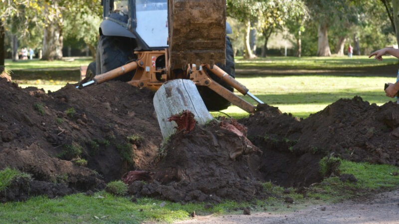 La Plata: El Municipio avanza con una histórica puesta en valor y saneamiento del Paseo del Bosque