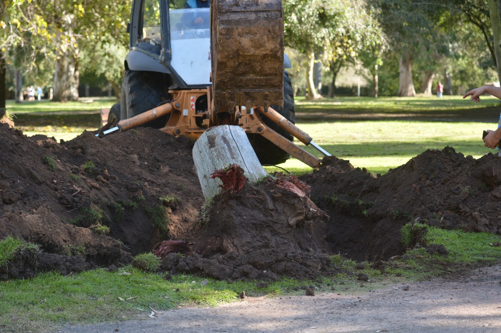 La Plata: El Municipio avanza con una histórica puesta en valor y saneamiento del Paseo del Bosque