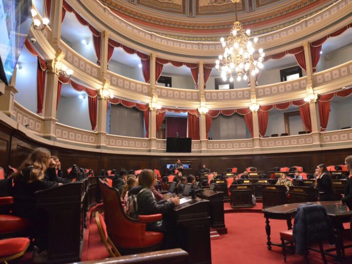 Retorno institucional: El Senado bonaerense reactiva el debate parlamentario con más de 300 proyectos en carpeta