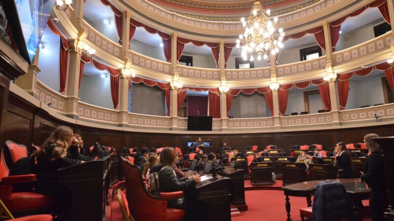 Retorno institucional: El Senado bonaerense reactiva el debate parlamentario con más de 300 proyectos en carpeta