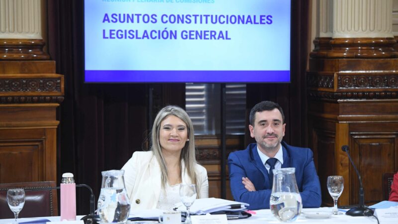 La «Ley Hojarasca» obtuvo dictamen favorable en el Senado y quedó lista para el recintoLa