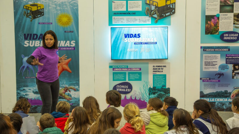 La Plata:  llegó a la República de los Niños una muestra para conocer más sobre las vidas submarinas
