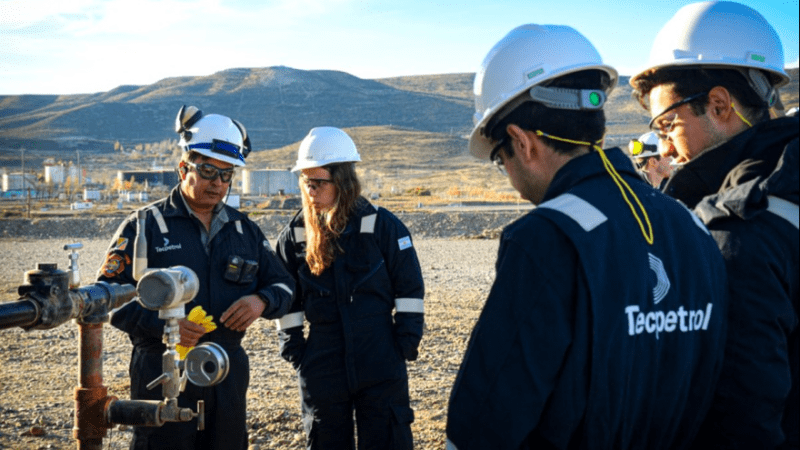 Aprobación oficial para el RIGI: Tecpetrol invertirá US$ 6.400 millones en Vaca Muerta y creará casi 8.000 empleos