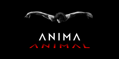 Danza de nivel internacional: Herman Cornejo llega al Teatro Coliseo con «ANIMA ANIMAL»