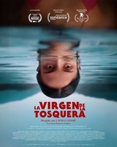 Rumbo a Hollywood: la Academia de Cine define la película argentina candidata a los Premios Oscar®