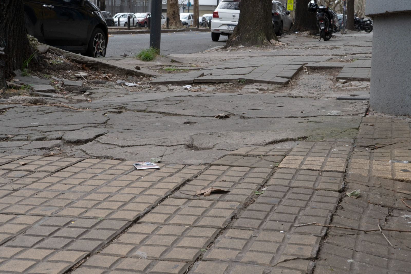 La Municipalidad de La Plata impulsa la reparación de veredas junto a los vecinos