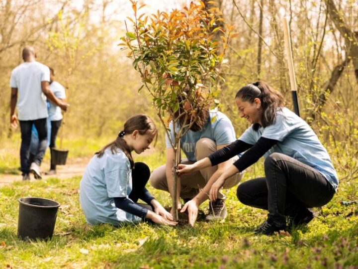 La UCALP realizará el Congreso Ambiental “Laudato si’: Un encuentro por la Casa Común”