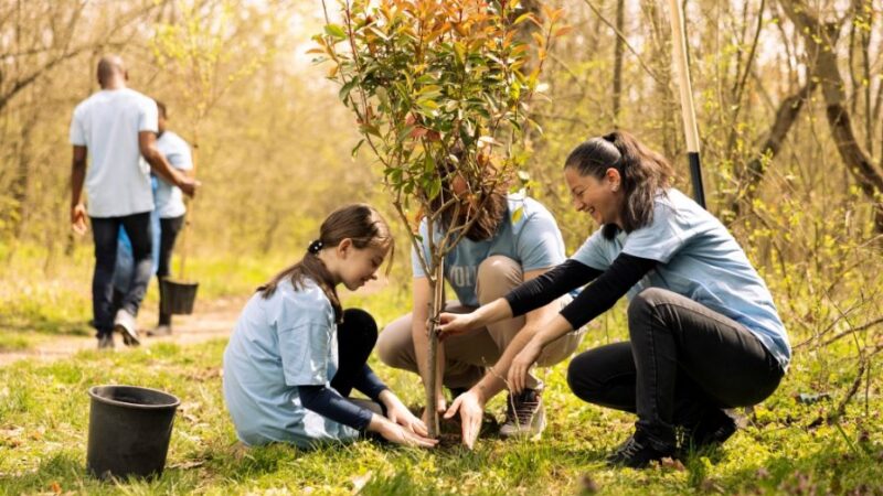 La UCALP realizará el Congreso Ambiental “Laudato si’: Un encuentro por la Casa Común”