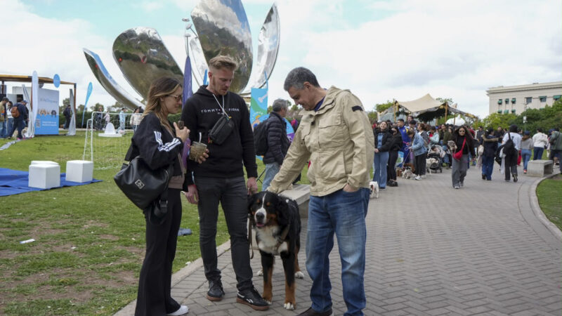 CABA impulsa una ley para que cada perro y gato tenga un número único de identificación