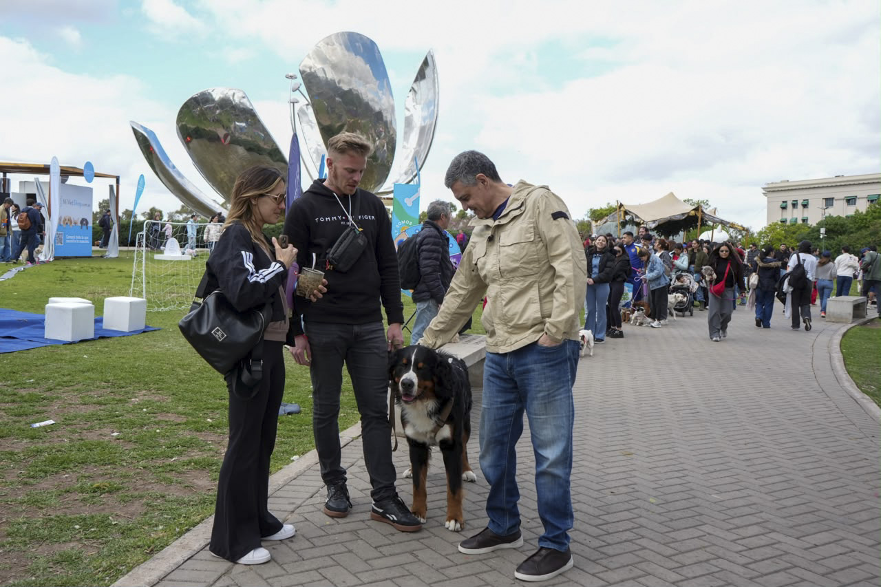 CABA impulsa una ley para que cada perro y gato tenga un número único de identificación